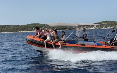 Taxi Boat Lines: Come to the Sea Sound Festival Quickly and Safely